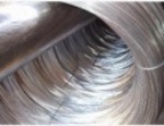 Galvanized Iron Wire