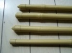 PE Coated Bamboo Poles
