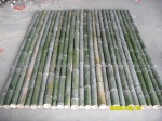 Green Bamboo Fence